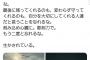 【悲報】元AKB岩田華怜さんのツイートが切ない…