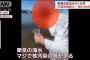 中国人、東京湾の海水を直で飲み悶絶「核汚染の味がする」