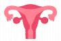 【朗報】「子宮移植合法化に反対します」がトレンド入り　子宮は子供を産む為の道具じゃない！