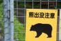 【訃報】秋田県のクマさん、終了のお知らせ！！！.....