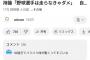 イチロー「ピッチャーは走らなくても良いみたいな考え方あるけど、野球選手は走れなきゃダメでしょ」