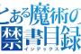 コミック版「とある魔術の禁書目録」最新30巻予約開始！2月9日発売！！！