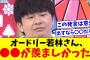 【日向坂46】オードリー若林さん、●●●が羨ましかった模様wwww【おひさま＆リトルトゥースの反応集】