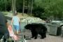 【動画】カナダ人さんの野良熊対策カンペキ