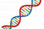 俺『友達の医者に「遺伝子が原因の病気があるか調べるためにも絶対DNAを検査しとけ」って言われた』嫁「そうなの？わかった」→DNA鑑定の結果・・・