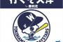 田代ポンセパチョレックに屋鋪高木加藤…さぞかし大洋って強かったんやろなぁ