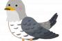 【女として終わった】「ピチチ チュンチュン ピピ」って小鳥の鳴き声が聞こえて、あれ？夜なのに…スズメ…？って思ったら……