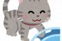 三人の小学生が、うちの庭でおじいちゃん猫を押さえつけて虐していた！！「何してんだふざけんなキッズどもおおぉぁぁぁ！！！！」