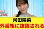 河田陽菜に外番組の仕事がキタ！！【日向坂46】