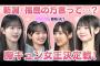 めいめいさん、小さすぎませんか？