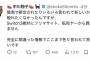 中川翔子「絶対に転売ヤーから買ってません」