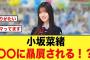 小坂菜緒、オードリー若林さんに続き〇〇に贔屓される！？