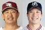 浅村栄斗と山田哲人どっちが上なんや？