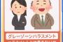 最強のハラスメント「グレーゾーンハラスメント」爆誕wwwwww