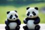 中国人「北海道と本州のサイズの違い。北海道はこんなに大きかった」　中国人「想像よりも大きい」「普通のサイズでいいから北海道に行きたい！」