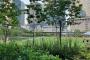 【画像】大阪の公園、外国すぎて腰抜けそう