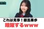 これは見事！藤嶌果歩暗躍するww◯河田さん色々もらう◯正源司出現するwww[日向坂46]