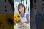 富田鈴花 写真集発売まであと22日！今日は「ひまわりの日」1st写真集 鈴花サーキット 8月5日発売