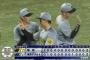 【ヤクルト対阪神21回戦】ヤクルト対阪神は２－２で延長１２回引き分け
