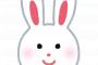 マイメロ女子「マイメロのかわいい待受け見て！」シナモン女子「AIでシナモンにするね！」