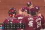 【日本ハム対楽天22回戦】楽天が６－２で日本ハムに快勝！中島大輔が4安打！ボイトがサイクルリーチの3安打3打点で大活躍！日本ハムは逆転負け、本拠地での楽天戦連勝７で止まる