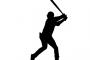 MLBとNPBの本塁打数トップ3 (数字のみ)