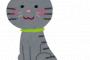 【将来の夢】いつか猫を飼いたい。どんな種類でも可愛いし迷ってるけどどのうち里親募集で劇的な出会いがあるかもしれない。ただ今は飼える環境ではない…